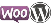 Ecommerce Website