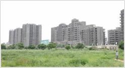 Valley View Estate Services
