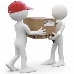 Domestic Courier Services