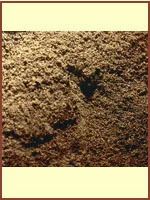 Pepper (Kali Mirch) (Black Pepper Powder)