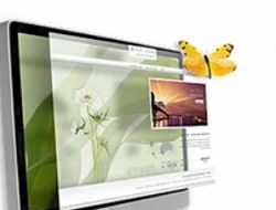 Web Designing Services