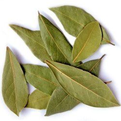 Bay Leaf (Tej Patta)