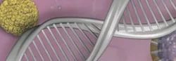 Molecular Diagnostics
