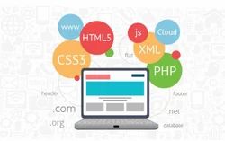 Custom Application Development