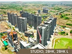 Real Estate Services