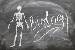 Biology Coaching Classes