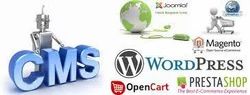CMS Development