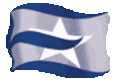 Executive Shipping Services