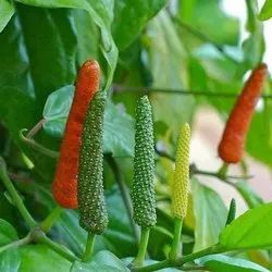 Agricultural Fertilizers