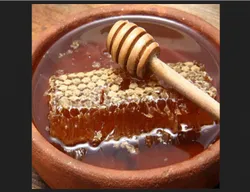 Nature Stick Honey