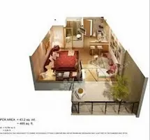 Real Estate Developer