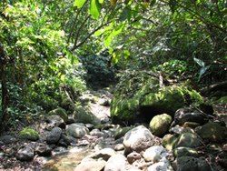 Captivating Andaman Tour