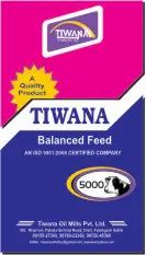 Tiwana 5000
