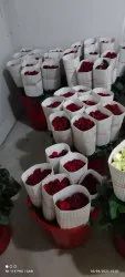 Taj Mahal Red Rose