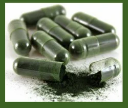 Spirulina Capsule