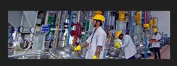 Custom Synthesis Service