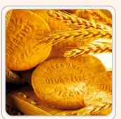 NutriChoice Digestive Biscuit