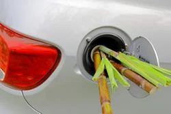 Fuel Ethanol Process Plant Services