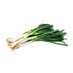 Fresh Green Garlic
