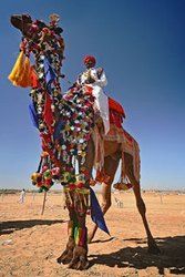 Classical Rajasthan Tour