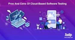 Python Software Development