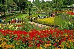 Kodaikanal Package Tours