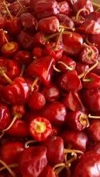 Dry Red Chilli