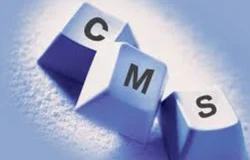 CMS Based Website