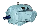 Motors for Hazardous Area (LV)