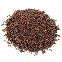 Brown Mustard Seeds