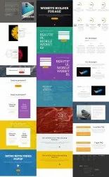 Website Development Service