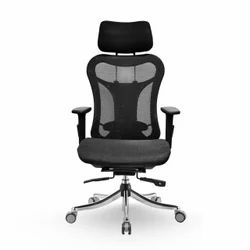 Ergonomic Office Chair
