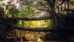 Cherrapunji Tour Package