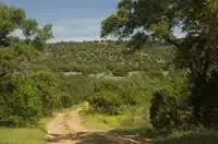 Commercial Land Dealing Services