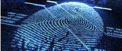 Security Assessment Services