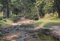 Pench National Park Tours Package