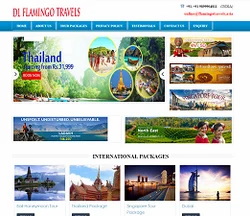 Tour and Travel Website