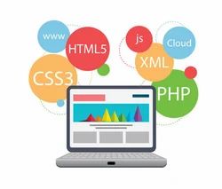 Website  Designing