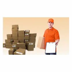 Non Document Domestic Courier Service