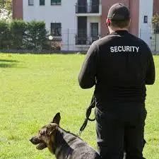 Residential Security Services