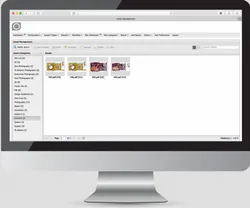 BPM Software Solution