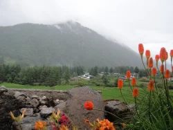 Bhutan Package