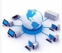 MLM Software Development