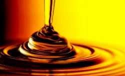 Soya Lecithin Export Grade