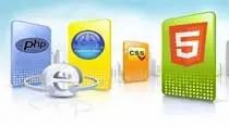 Online Software Development