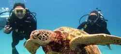 Andaman Package (4 nights / 5 days)
