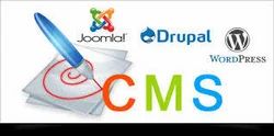CMS Development